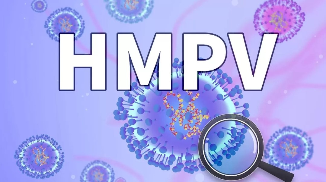virus hmpv