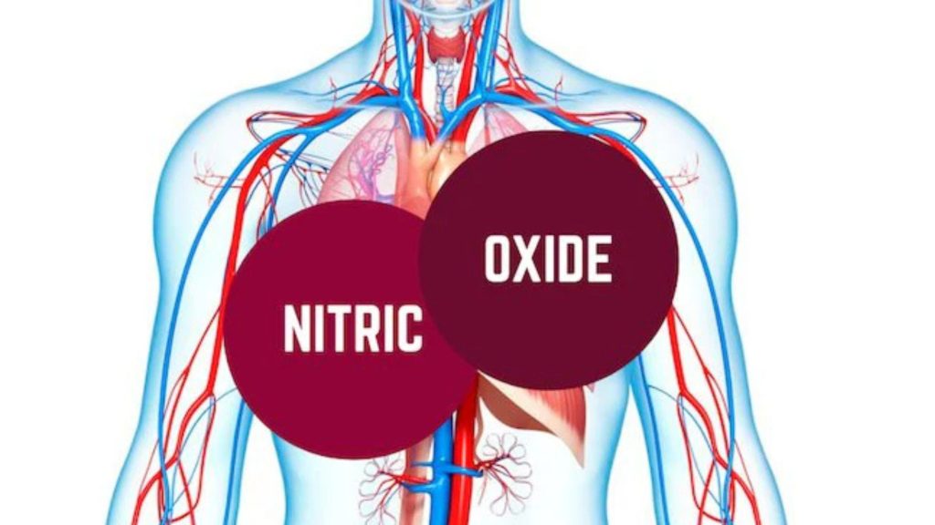 nitric oxide rendah
