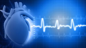 antioksidan untuk jantung